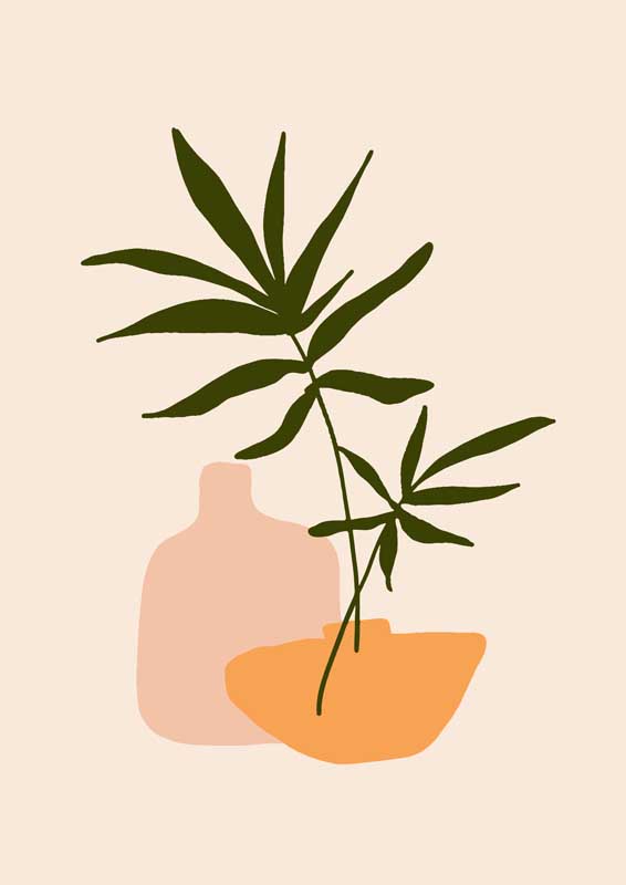 买菠萝蜜要核不要肉